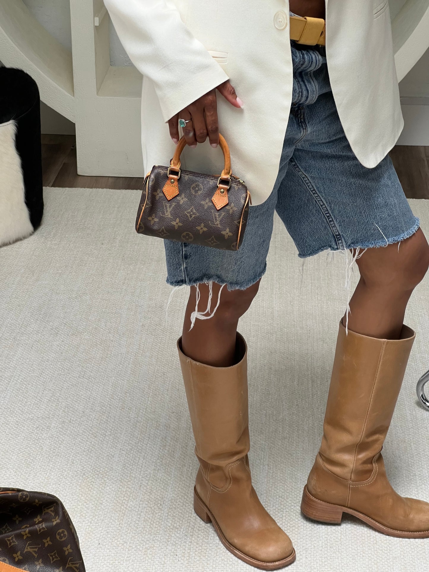 Louis Vuitton Monogram Speedy Nano