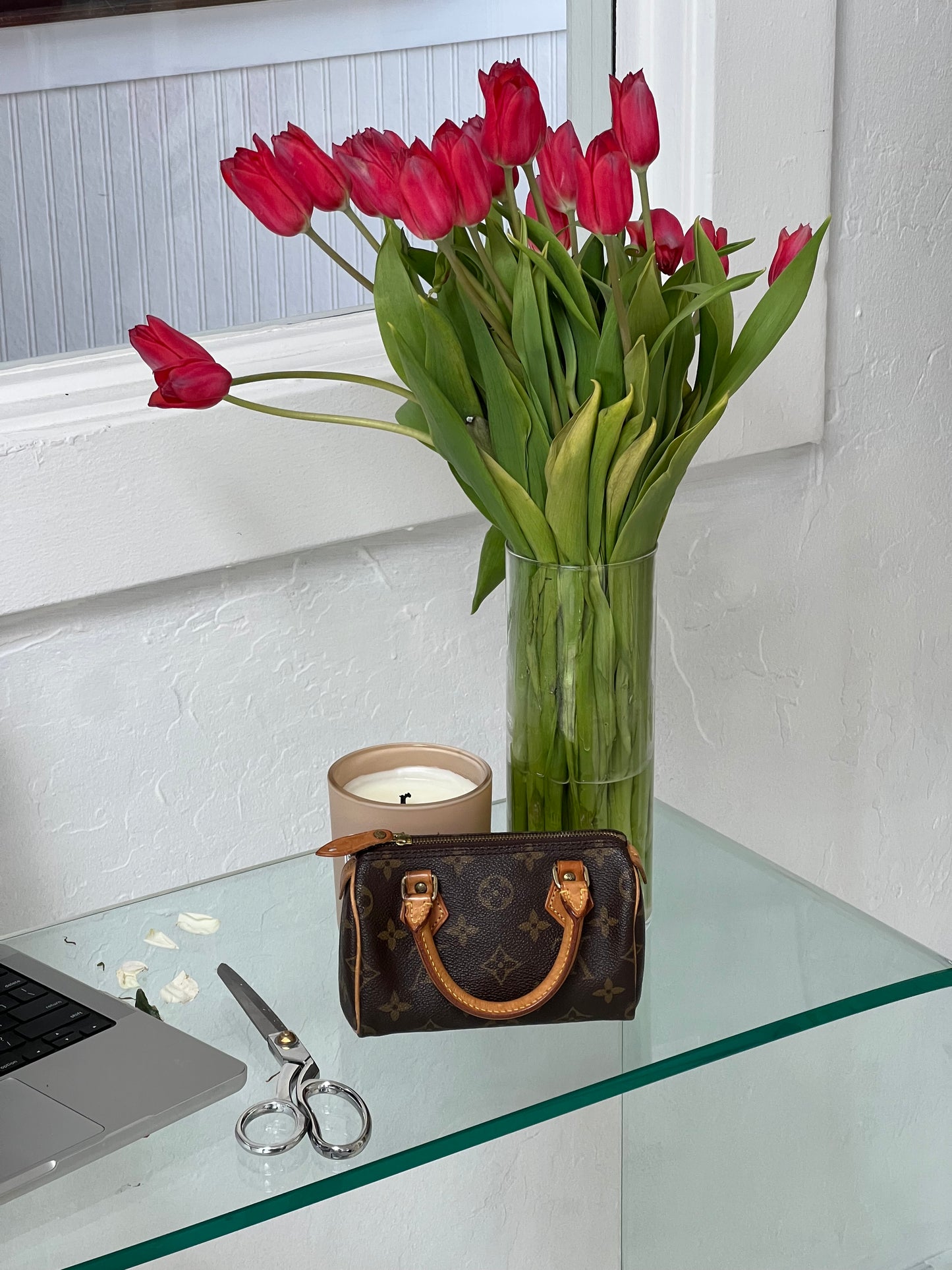 Louis Vuitton Monogram Speedy Nano